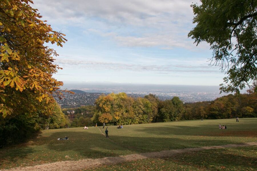3Hour Outdoor Budapest Normafa Hike&History With a Historian - From Széll Kálmán Sq. to Normafa Forest Paths