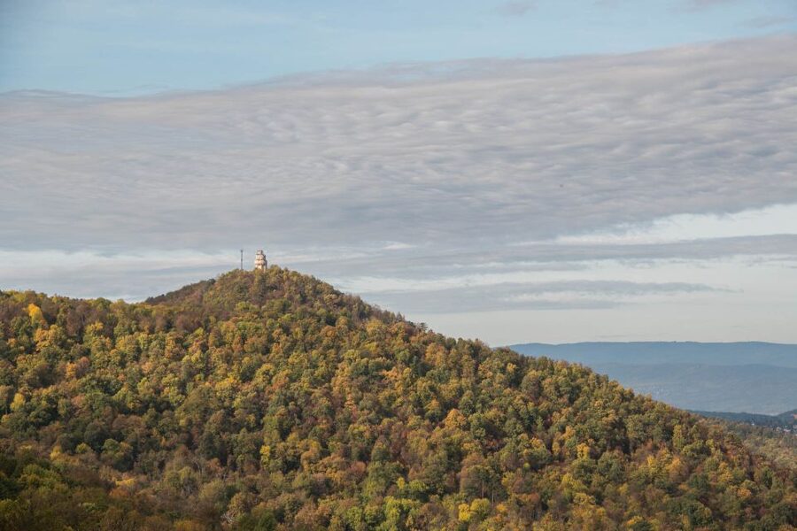 3Hour Outdoor Budapest Normafa Hike&History With a Historian - Normafa’s role in Budapest, beyond the viewpoint
