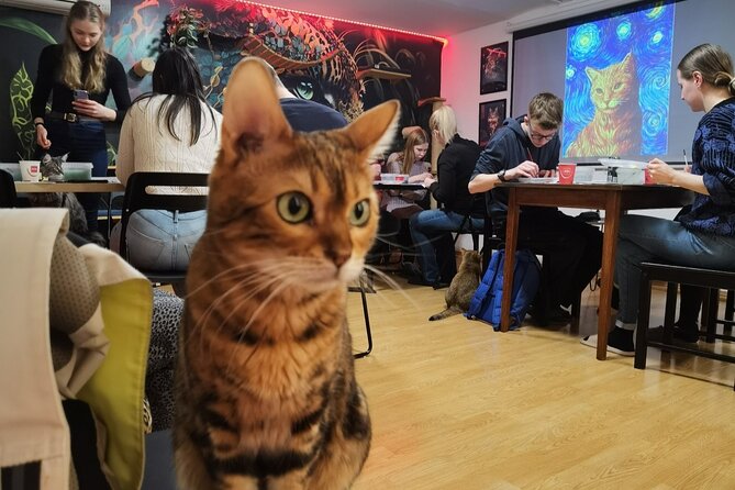 Acrylic Painting Workshop with Cats in Budapest - Key highlights to know before you go