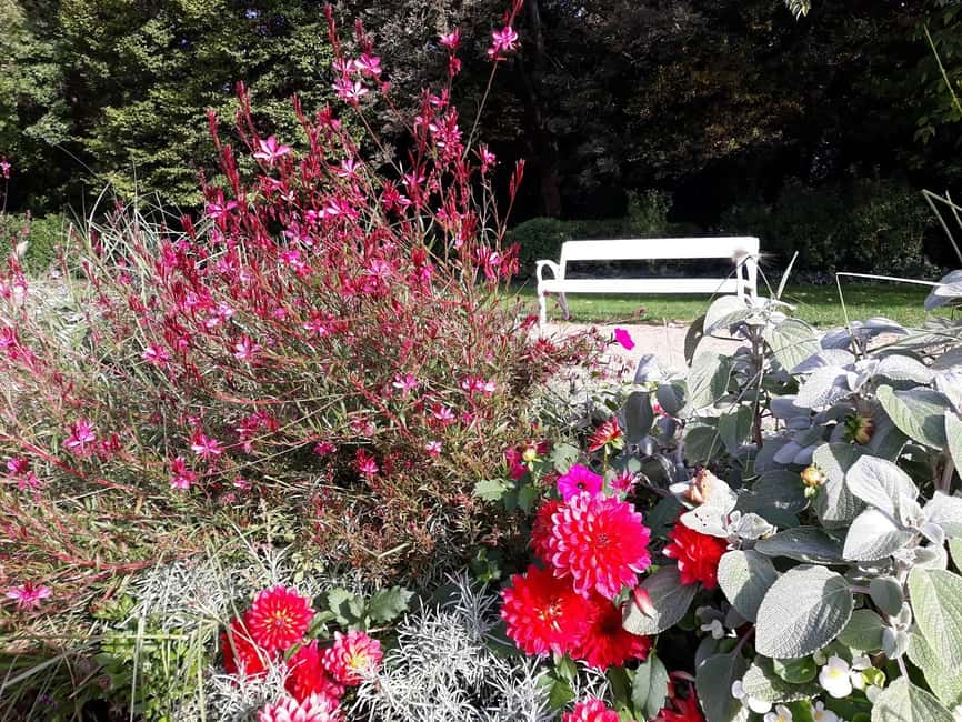 Budapest: Best Gardens Walking Tour & Folk Music Performance - Gardens in Budapest make more sense with a plan
