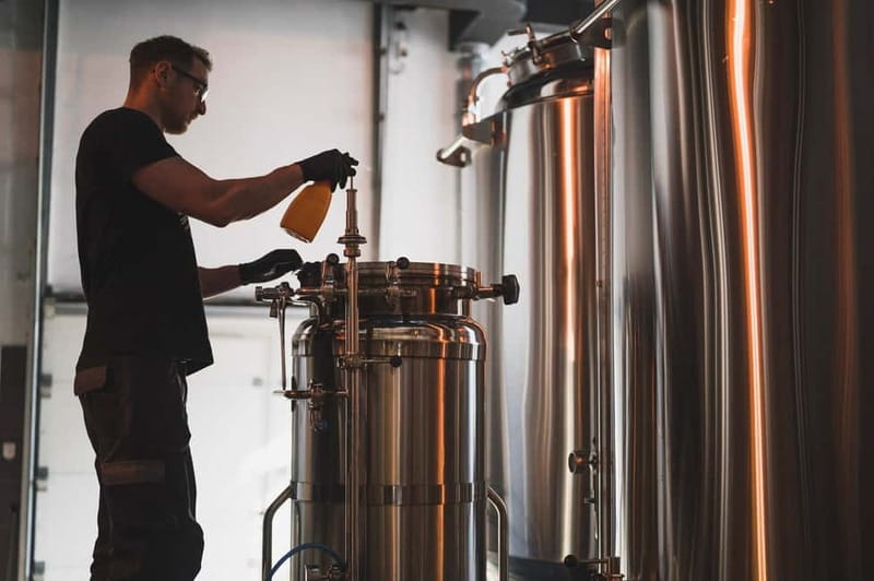 Budapest: Brewery Tour at "First Craft Beer" & Beer Tasting - Tasting malted barley and hops: the shortcut to understanding beer