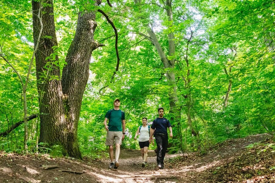Budapest: Buda Hills Guided Hiking Tour with Optional Lunch - Key things you should know before you go