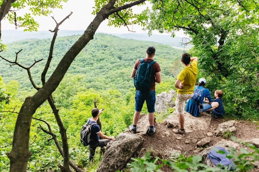 Budapest: Buda Hills Guided Hiking Tour with Optional Lunch - Why the Buda Hills feel like a reset from city life