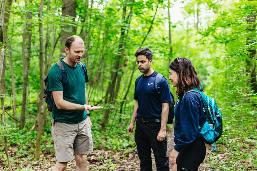 Budapest: Buda Hills Guided Hiking Tour with Optional Lunch - Normafa hike to the Elizabeth Lookout Tower, plus a cave break