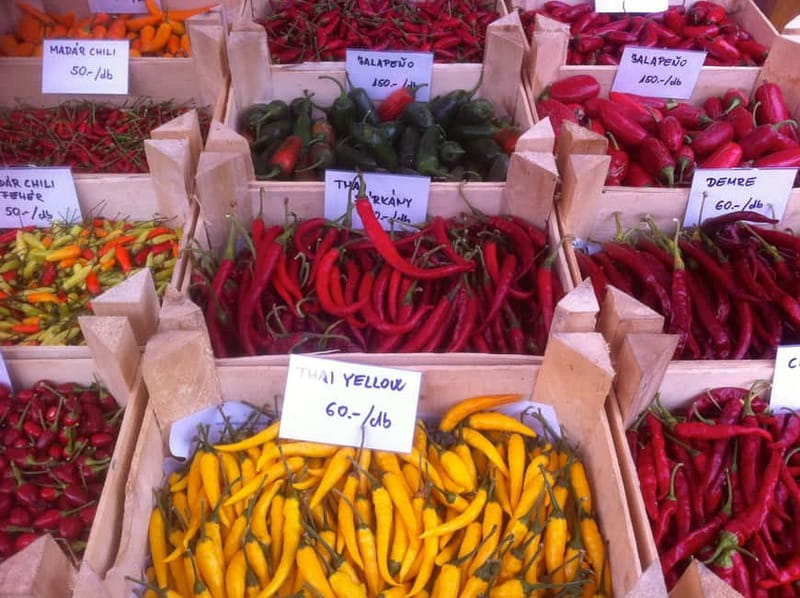 Budapest Culinary & Wine Walk—Budapest’s Signature Food Tour - What the guide teaches you about Hungarian flavor