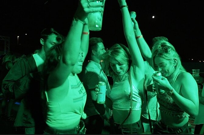 Budapest Danube Cruise with DJ, Drinks and After Party - Who This Budapest Danube Party Cruise Suits Best