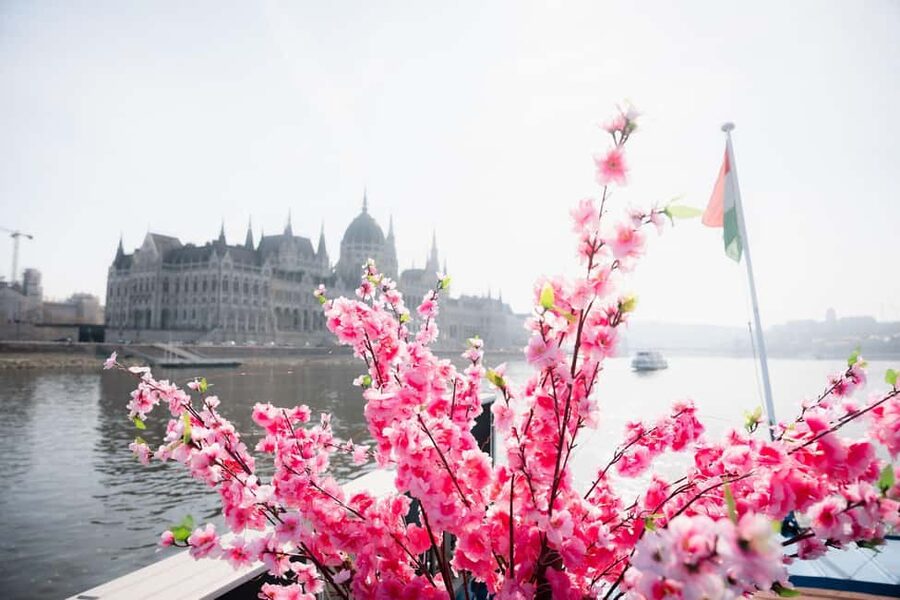 Budapest: Daytime Hop-on Hop-off Cruise with Welcome Drink - Value for $15: What’s Included and What You’ll Likely Add
