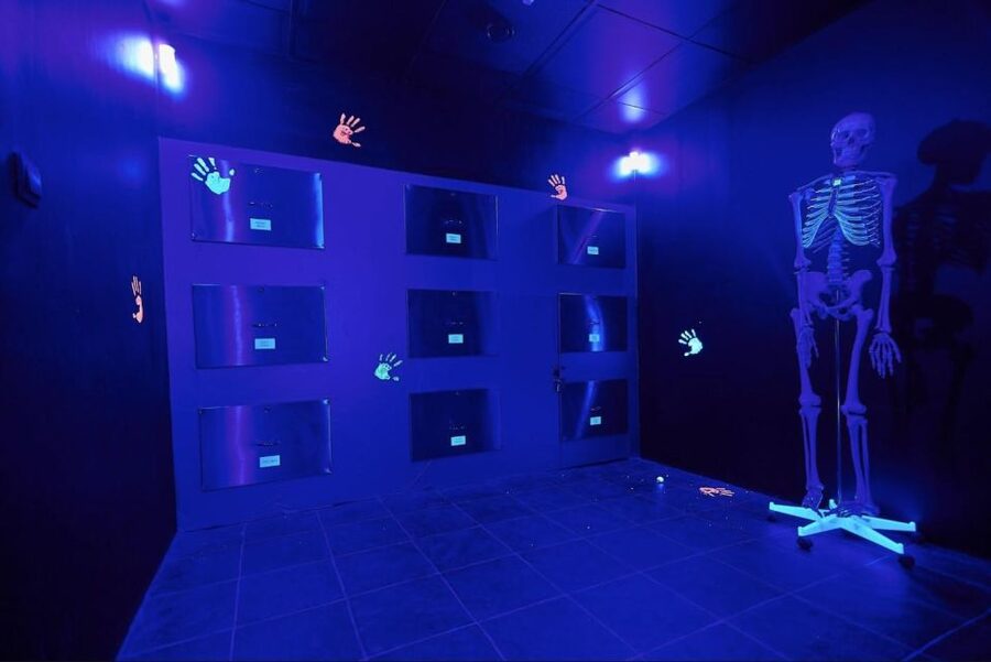 Budapest: Escape Room game, Secret Surgery - Your 60 Minute Game Plan: Puzzles, Clues, and Game Master Support