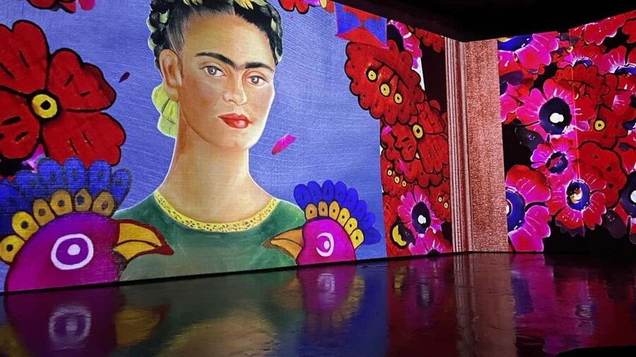 Budapest: Frida Kahlo Immersive Exhibition Ticket - Language choices: Magyar vs English sessions