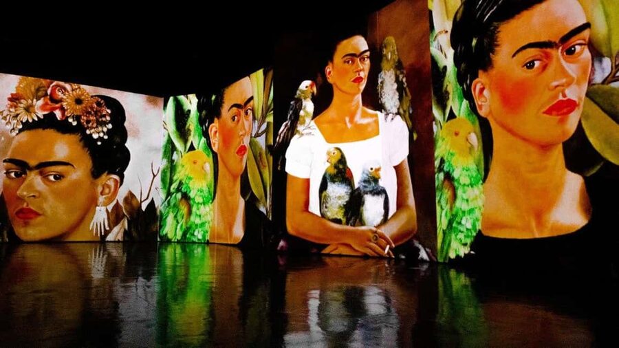 Budapest: Frida Kahlo Immersive Exhibition Ticket - The diary excerpts are the emotional glue