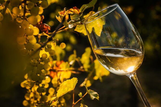 Budapest Half-Day Wine Tour: 3 Family Wineries, Meal & Pálinka - Practical Tips for Your 10:00 am Start