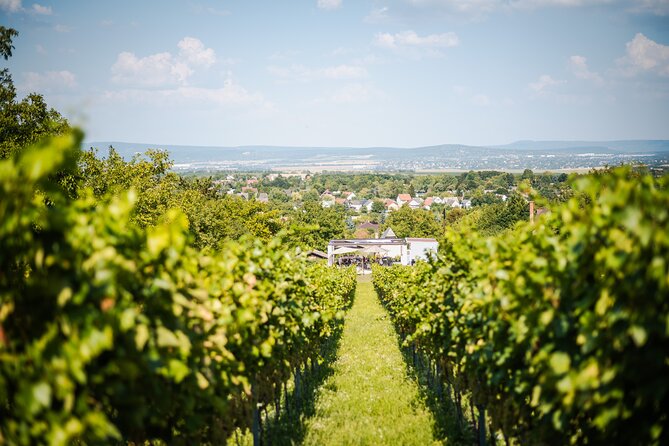 Budapest Half-Day Wine Tour: 3 Family Wineries, Meal & Pálinka - Who This Tour Fits Best (and Who Might Want More)