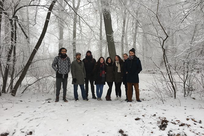 Budapest Hike - The Hike Itself, Forest Paths to a Lookout Over Buda and Pest