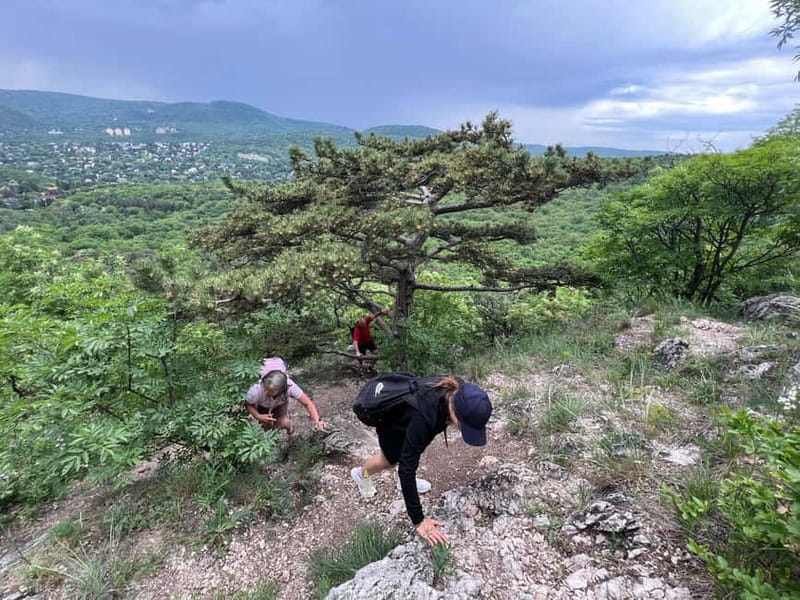 Budapest: Hiking Tour in the Buda Hills, Hármashatár Hill - Cave of Tábor Hill: dolomite geology you can actually visit