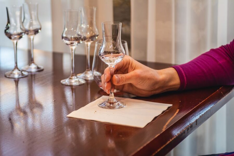 Budapest: Hungarian Whisky, Gin, and Pálinka Tasting - Who should book this pálinka, gin, and whisky tasting