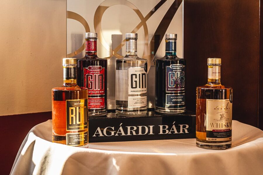 Budapest: Hungarian Whisky, Gin, and Pálinka Tasting - Pálinka comparisons that make Hungarian spirits click