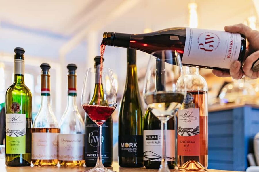 Budapest: Hungarian Wine Tasting with 8 Wines and Tapas - Tapas pairing that respects the wine, not random snacks