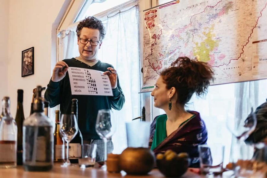 Budapest: Hungarian Wine Tasting with 8 Wines and Tapas - The map and mini-lesson on Hungarian wine regions