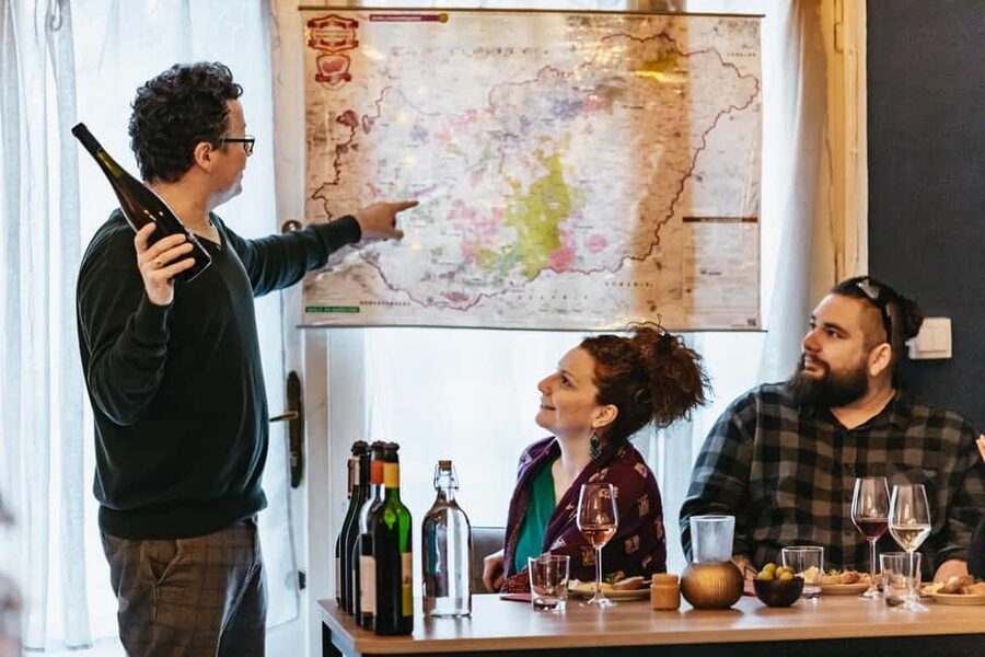 Budapest: Hungarian Wine Tasting with 8 Wines and Tapas - Final call: should you book this Hungarian wine tasting?