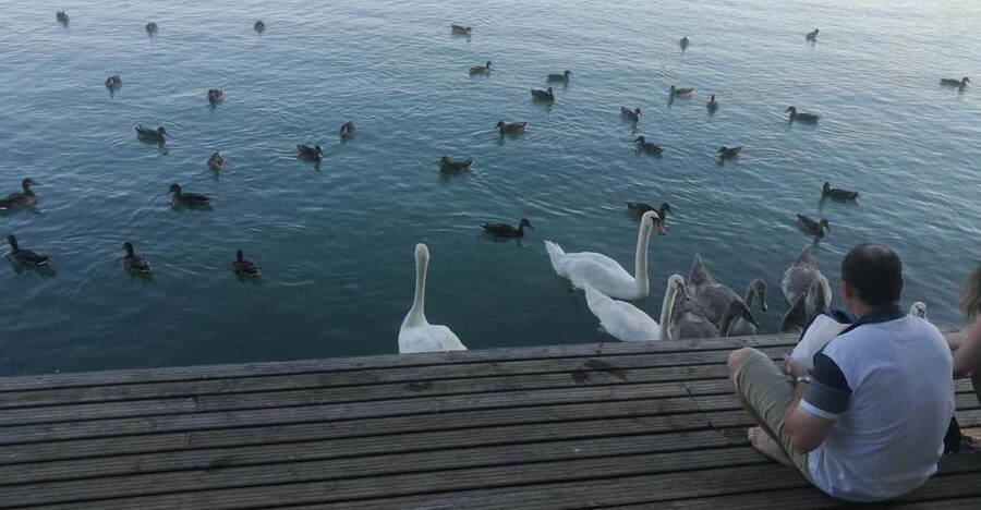 Budapest: Lake Balaton & Herend Porcelain Private Day Tour - Budapest to Central Transdanubia: a full day, paced for seeing a lot