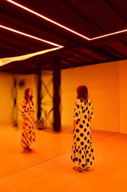 Budapest: Light Art Museum Skip-the-Line Entry Ticket - Value and price: why $21 can make sense in Budapest