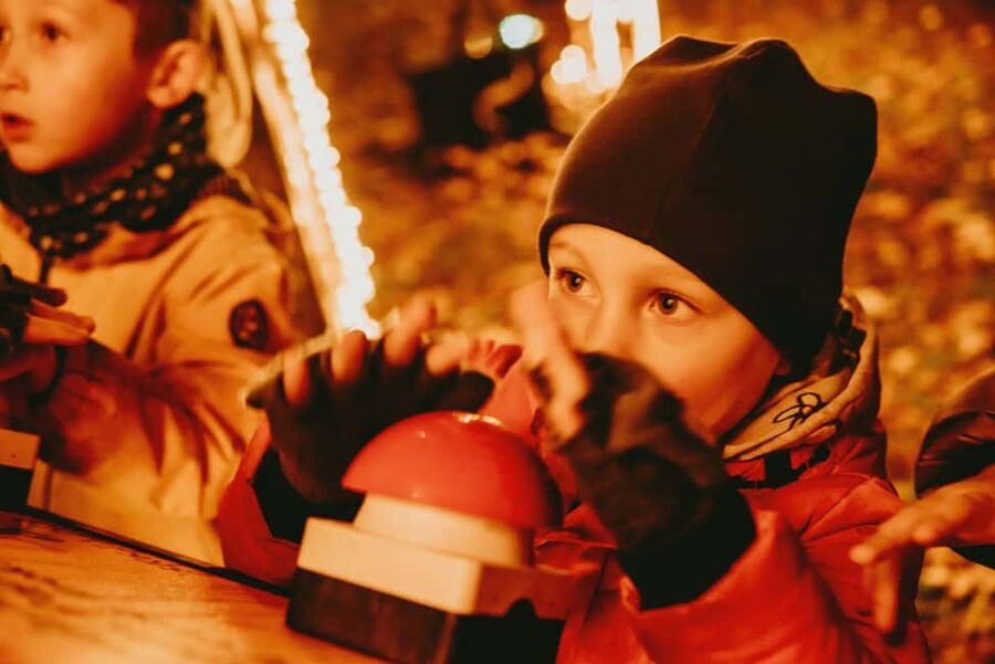 Budapest: Lumina Light Park Wonderworld Entry Ticket - Price and value compared to “one-and-done” attractions