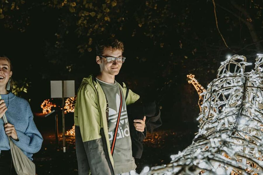 Budapest: Lumina Light Park Wonderworld Entry Ticket - Should you book Lumina Light Park Wonderworld entry ticket?