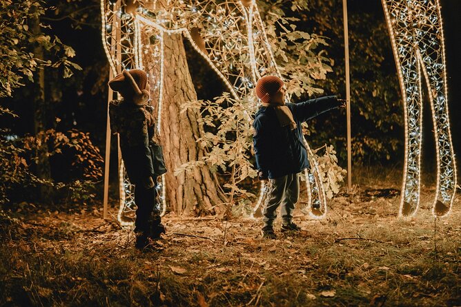 Budapest Lumina Park -Wonderworld Light Experience Entry Ticket - Price and value: is $21.78 per person worth it