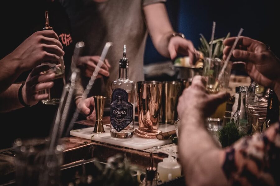 Budapest - Opera Gin Distillery Tour - The botanicals lesson: Hungarian ingredients with an international gin style