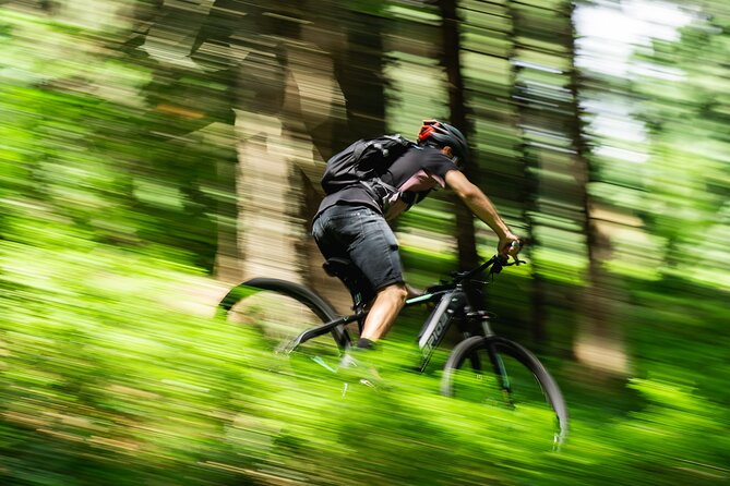 Budapest Peaks Off-Road eBike Tour - Svábhegy Downhill Toward Normafa, Then Back Into the City