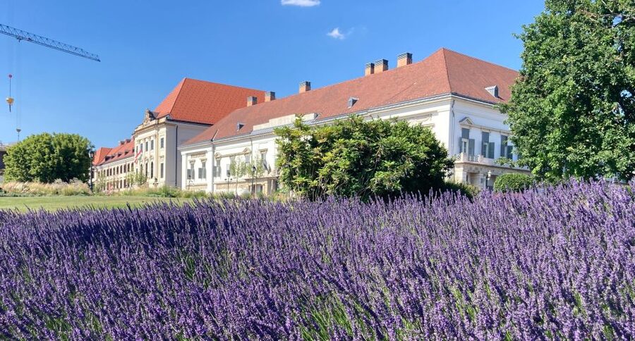 Budapest: private sightseeing tour by public transportation - Key Things That Make This Tour Worth Your Time