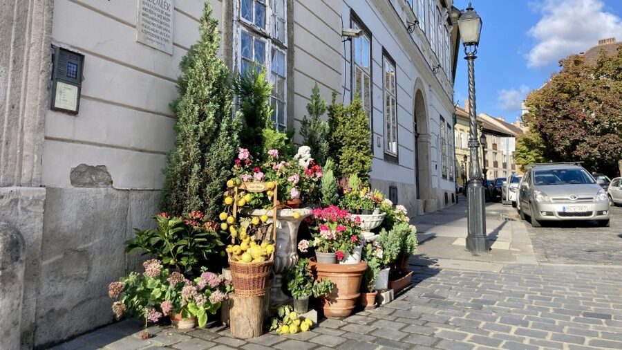 Budapest: private sightseeing tour by public transportation - Pest Highlights: Andrássy Avenue, Opera House, Basilica, and Liberty Square