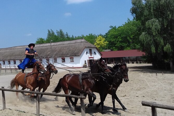 Budapest Puszta Day Trip to Kecskemet with Horse Show & Lunch - Getting out of Budapest: the 10:00 am ride to Kecskemét