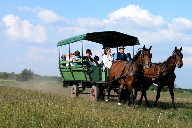 Budapest Puszta Day Trip to Kecskemet with Horse Show & Lunch - The 3-course Hungarian lunch and apricot pálinka