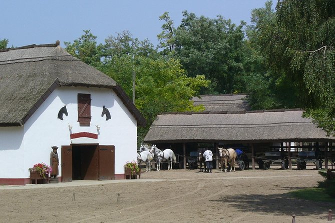 Budapest Puszta Day Trip to Kecskemet with Horse Show & Lunch - Who this Puszta day trip suits best (and who should skip)
