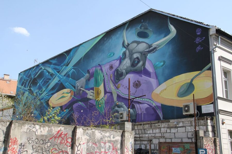 Budapest: Street Art Tour - Who this street art tour suits best