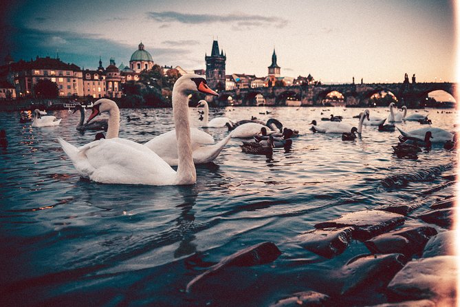 Budapest to Prague - Private Transfer with 2 hours of Sightseeing - The road trip comfort: what you get inside the vehicle