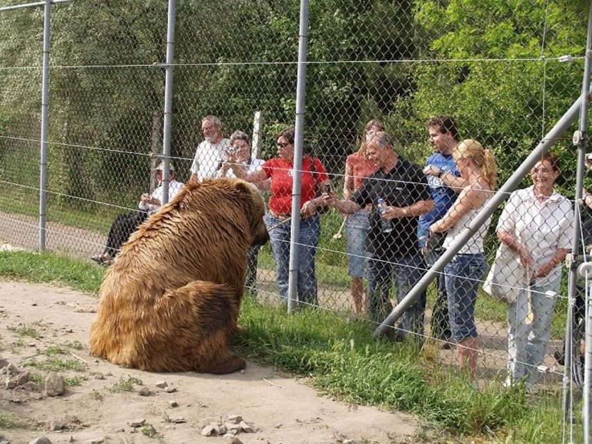 Budapest: Transport & Guided Tour of Bear and Wolf Sanctuary - Key Things I’d Prioritize In This Tour