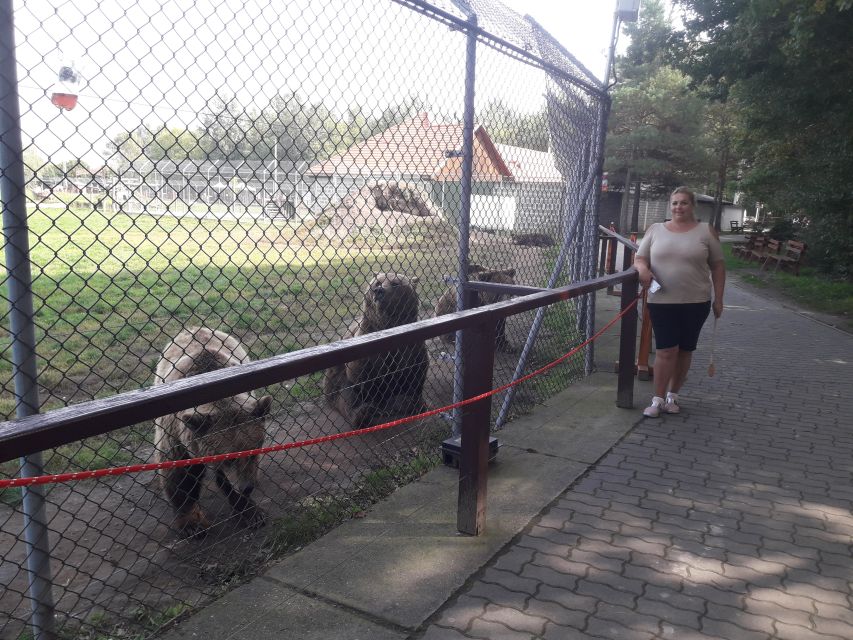 Budapest: Transport & Guided Tour of Bear and Wolf Sanctuary - Timing Inside the Compound: Guided First, Then Your Pace