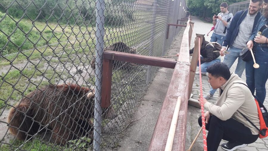Budapest: Transport & Guided Tour of Bear and Wolf Sanctuary - The Van Ride Covers Distance, Plus the Context