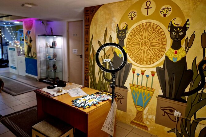 Cat Museum Budapest Entry Ticket - Upstairs in the Jungle Room: Films, a Tablet Quiz, and a Fun Incentive