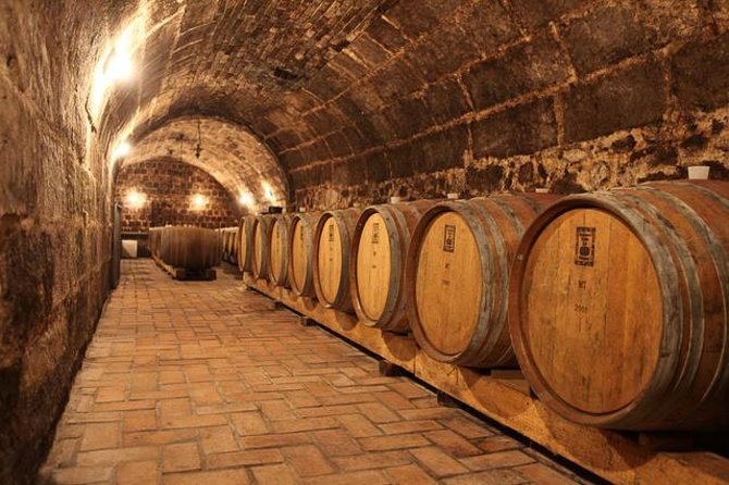 Countryside Half-day Gastro-Wine Tour from Budapest Meal & pickup - Key highlights to focus on