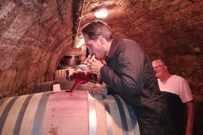 Countryside Half-day Gastro-Wine Tour from Budapest Meal & pickup - The Hungarian food: bites, lunch, and 2-course dinner