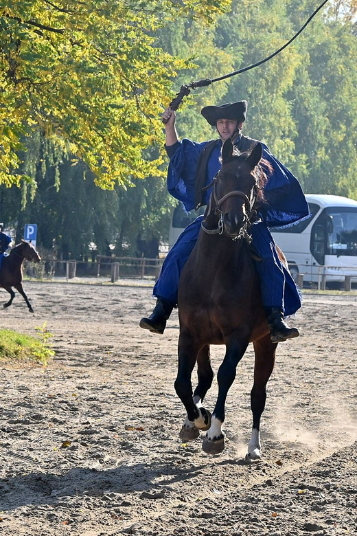 Countryside ranch, horse show & lunch - Lunch and tastings: goulash, strudel, and palinka