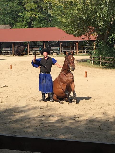 Countryside ranch, horse show & lunch - Price and value: what $127 buys in real terms