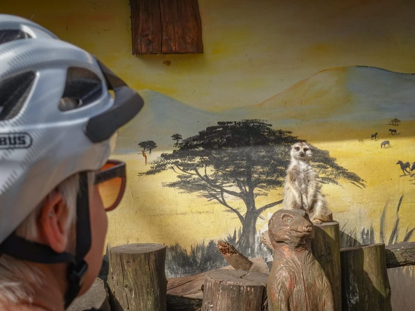 E-Mountain Bike Adventure in the Danube Bend - Nagymaros to Zebegény: River Views and Low-Stress Cycling Lines