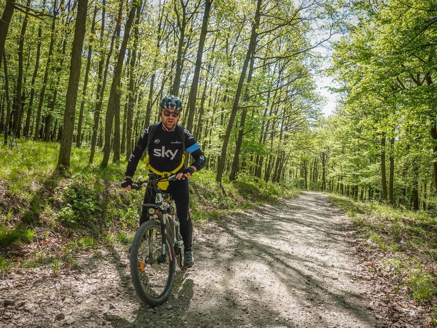 E-Mountain Bike Adventure in the Danube Bend - The Meadow Animal Park Break: A Reset That Doesn’t Feel Like a Detour
