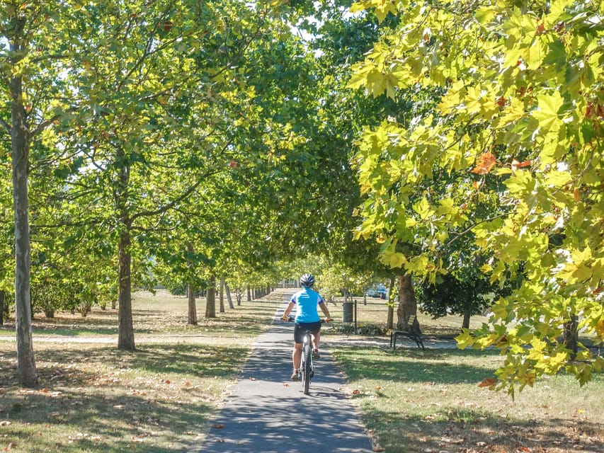 E-Mountain Bike Adventure in the Danube Bend - Closed Forest Roads, Old Beech and Oak, and the Descent Back to the River