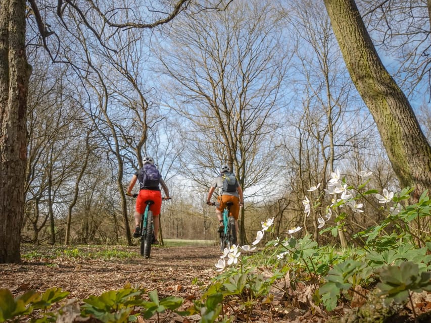 E-Mountain Bike Adventure in the Danube Bend - Your Guide and Pace: Why Small Group Matters
