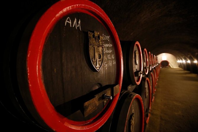 Eger Private Full-Day Wine Tasting Tour and Sightseeing from Budapest - Eger Castle ruins and the panoramic payoff